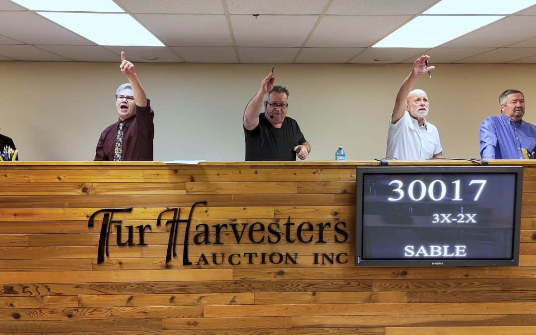 Taking bids at Fur Harvesters Auction